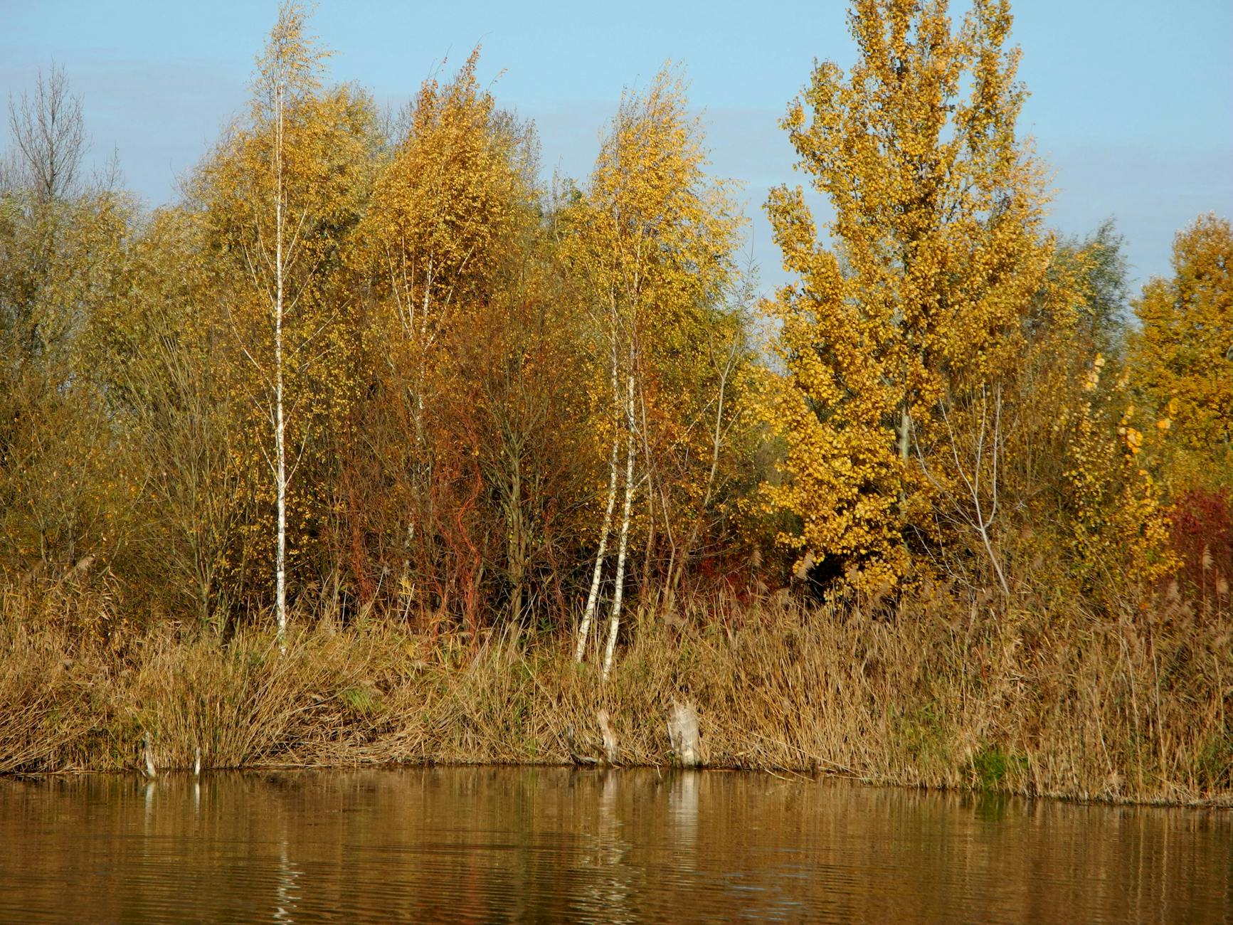 Wizualizacja nowoczesnej infrastruktury miejskiej w Siemianowicach Śląskich, symbolizująca projekty finansowane z Funduszy Europejskich.