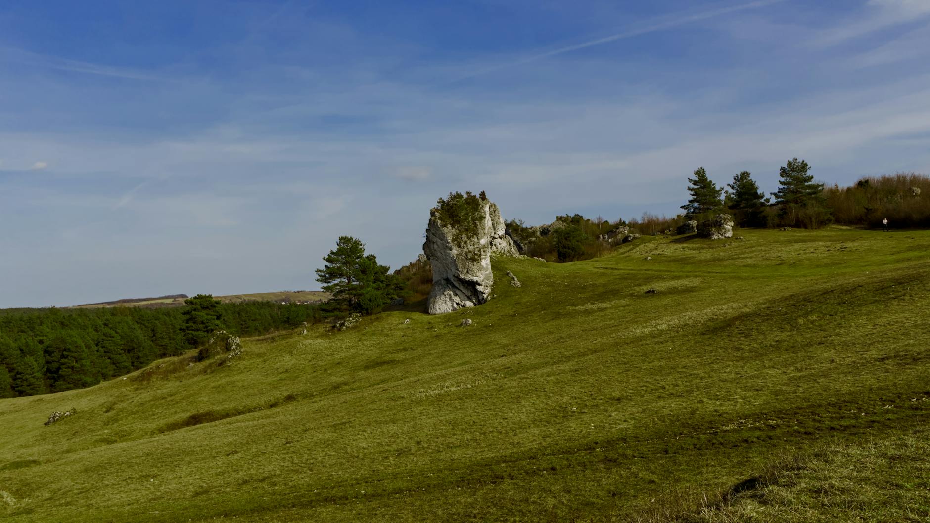 Widok na Pałac w Siemianowicach Śląskich otoczony zielenią, symboliczne miejsce regionu.